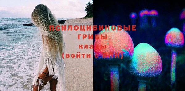 амф Алексин
