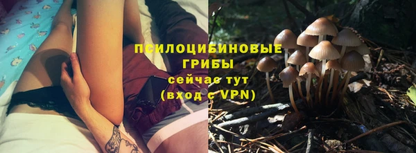 амф Алексин