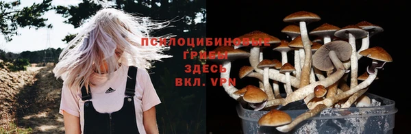амф Алексин