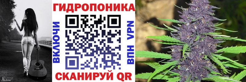 Каннабис LSD WEED  цены наркотик  Сельцо 